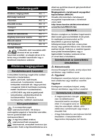 Страница 121