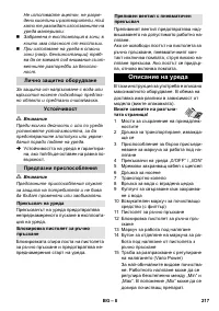 Страница 217