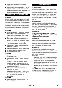 Страница 219