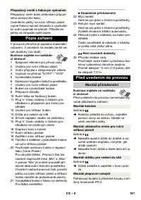Страница 161