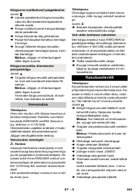 Страница 243