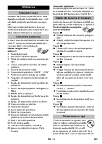 Страница 163