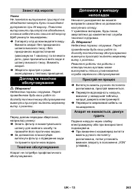 Страница 263
