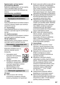 Страница 267