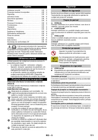 Страница 111