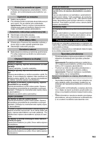 Страница 163