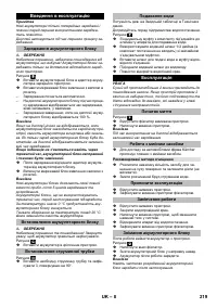 Страница 219