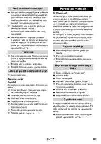 Страница 163