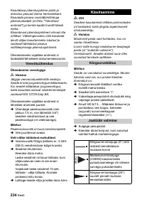 Страница 234