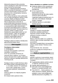 Страница 243