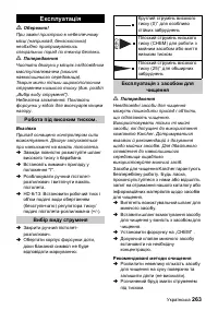 Страница 263