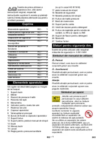 Страница 243