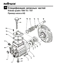Страница 38