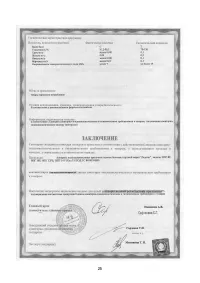 Страница 25