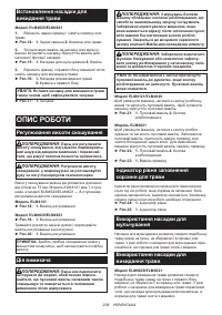 Страница 238