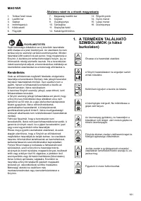 Страница 161