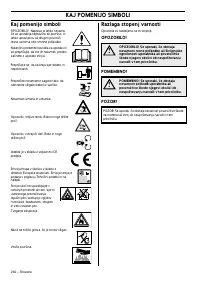 Страница 262