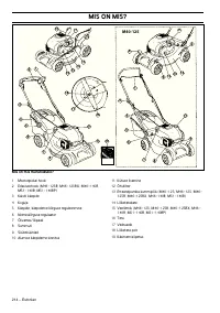Страница 215