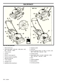 Страница 229