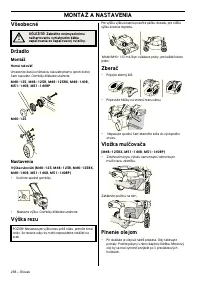 Страница 259