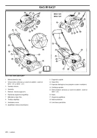 Страница 260