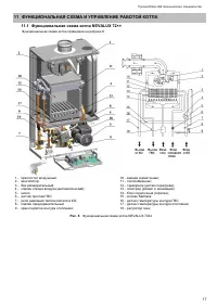 Страница 17