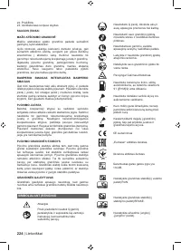 Страница 226