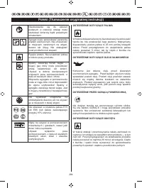 Страница 295