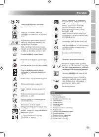 Страница 243