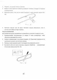 Страница 45