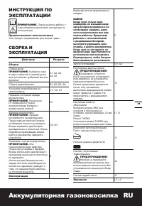 Страница 31