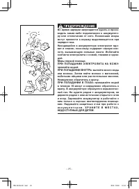 Страница 31