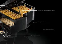 Страница 547